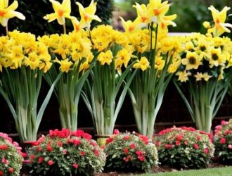 Апрель: Начало Цветочного Сезона — Как Правильно Посадить Цветы для Цветущего Сада