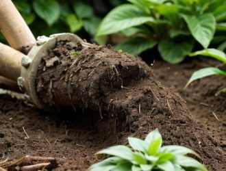 Чернозем: Ключ к Успешному Огородничеству и Плодородию Почвы