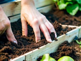 Эффективная борьба с килой капусты: секреты успешной подготовки лунки и ухода за растениями