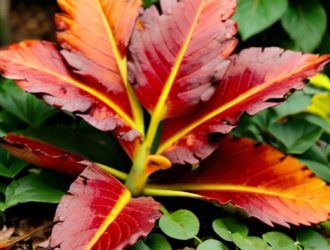 Эффективная уборка листвы с мульчи корой: советы для здорового и красивого сада