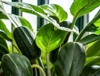 Эффективная защита огурцов: Как подготовить теплицу к весенней посадке и предотвратить появление клещей