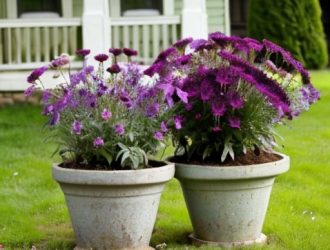 Эффективные методы размножения лиатриса: от семян до делёнок