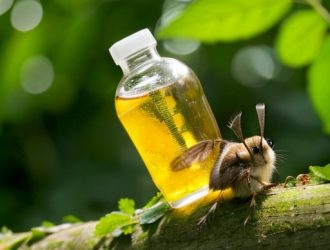 Эффективный биокиллер: ваш надежный помощник в борьбе с вредителями