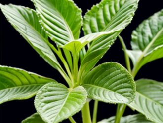 Фитоспорин: Как Правильно Использовать Для Здоровья Ваших Растений