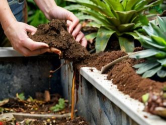 Гумус: ключ к здоровому саду и богатому урожаю