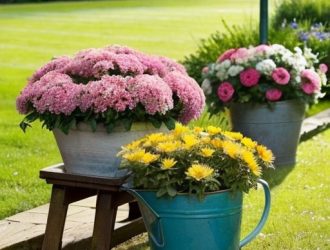 Как добиться идеальных всходов: секреты успешного выращивания астр для садоводов