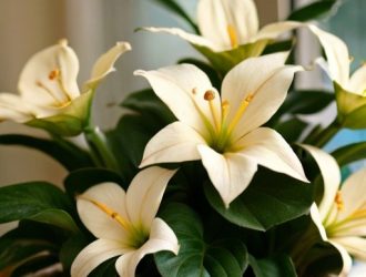 Как добиться успеха в проращивании глоксинии: от выбора семян до ухода за растениями