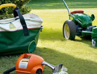 Как победить пырей: эффективные методы борьбы с засорением газонов