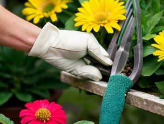Как правильно дезинфицировать садовый инструмент для здоровья вашего сада