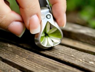 Как правильно снять семечко с ростка: советы для успешного выращивания растений