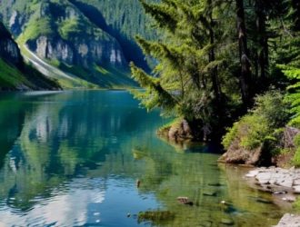 Как предотвратить цветение водоемов: ключевые меры для защиты экосистем и здоровья человека