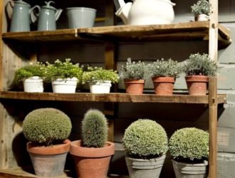 Как сохранить спирею до весны: советы по уходу и хранению растения