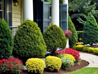 Как спасти кипарис: Пошаговое руководство по реанимации здорового дерева