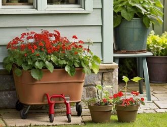 Как успешно укоренить красную смородину: пошаговое руководство для садоводов