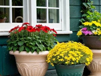 Как выбрать идеальное кашпо для лобелии: советы по уходу и дизайну