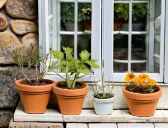 Как защитить рассаду от котов: советы по организации пространства и воспитанию питомца