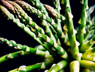 Когда и как правильно собирать спаржу: секреты успешного выращивания и сбора урожая