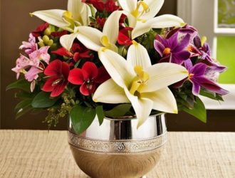 Комнатные растения как идеальный подарок на 8 марта: выбор, уход и оформление