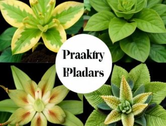 Мочевина как удобрение: секреты эффективного применения для здоровья растений