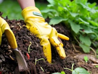 Обеззараживание компоста: ключ к здоровому саду и экологии