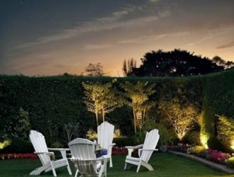 Пикировка помидоров по лунному календарю: как убывающая Луна поможет вашим растениям расти лучше