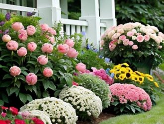 Пионы и укроп: Сравнение двух уникальных растений для вашего сада