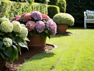 Почему гортензия не просыпается весной: причины и решения для садоводов