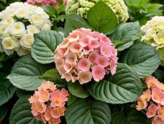 Почему Гортензия Не Растет: Основные Причины и Решения для Вашего Сада