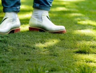 Почему трава не растет: основные причины и решения для вашего участка