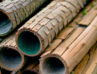 Полезные свойства коры сосны: от садоводства до медицины и экономики