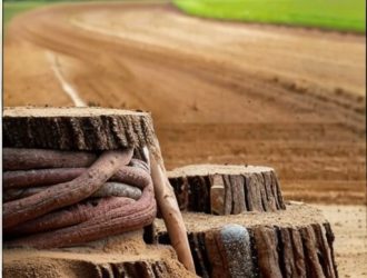 Понимание времени высыхания почвы: ключ к успешному сельскому хозяйству и строительству