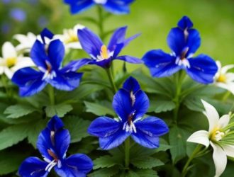 Правильная подвязка дельфиниума: как избежать поломок и сохранить здоровье растения