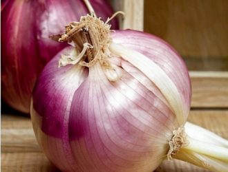 Правильное хранение лука: Как сохранить свежесть и питательные свойства на долгое время