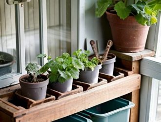 Правильный посев семян герани: секреты успешного выращивания для садоводов и цветоводов