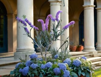 Розмарин: Уникальное Растение для Кулинарии и Садоводства