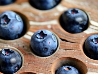 Секреты семян голубики: от истории до успешного выращивания