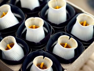 Секреты успешного хранения луковиц крокусов: от выбора до высадки весной