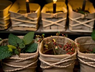 Сохранение саженцев малины до весны: секреты успешного зимнего хранения