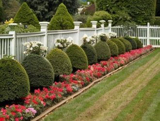 Солома в саду: как мульчирование меняет правила игры для растений