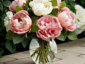 Совмещение пионов и роз: как создать гармоничную клумбу для вашего сада