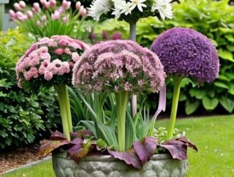 Цветы как лук: Уникальное растение для сада и здоровья