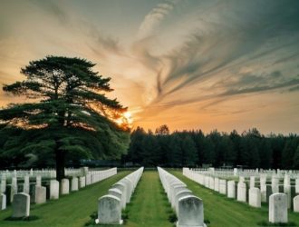 Туи для кладбища: как выбрать идеальное растение для вечной памяти