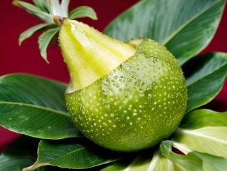 Уникальный шишковидный фрукт: от происхождения до способов употребления