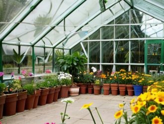 Выбор между пленкой и укрывным материалом: что подойдет для вашего парника?