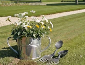 Выращивание березы: от выбора саженца до ухода за деревом в вашем саду