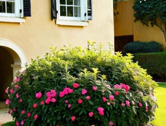 Выращивание розмарина на улице: секреты успешного сада с ароматом Средиземноморья