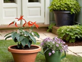 Жимолость: Как выбрать идеальные саженцы и избежать распространенных ошибок при посадке