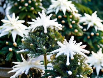 Зимний уход за туями в горшках: как сохранить зелень и здоровье ваших растений